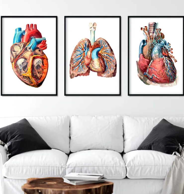 Bestseller 3er Set - Geometrische | Codex Anatomicus Outlet