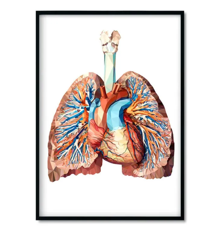 Bestseller 3er Set - Geometrische | Codex Anatomicus Outlet