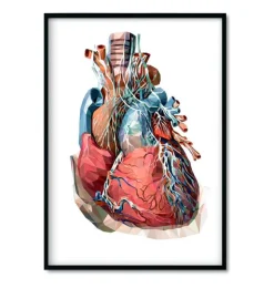 Bestseller 3er Set - Geometrische | Codex Anatomicus Outlet