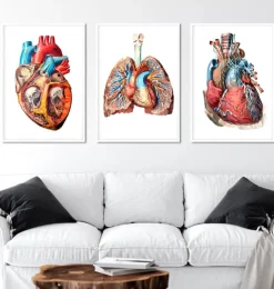 Bestseller 3er Set - Geometrische | Codex Anatomicus Outlet