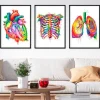Bestsellers 3er Set - Aquarelle | Codex Anatomicus Best