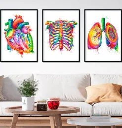 Bestsellers 3er Set - Aquarelle | Codex Anatomicus Best