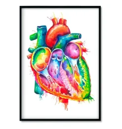 Bestsellers 3er Set - Aquarelle | Codex Anatomicus Best