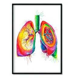 Bestsellers 3er Set - Aquarelle | Codex Anatomicus Best