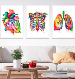 Bestsellers 3er Set - Aquarelle | Codex Anatomicus Best