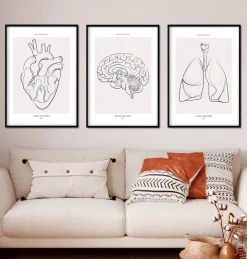 Bestsellers 3er Set - Line Art | Codex Anatomicus Sale