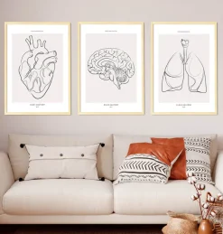 Bestsellers 3er Set - Line Art | Codex Anatomicus Sale