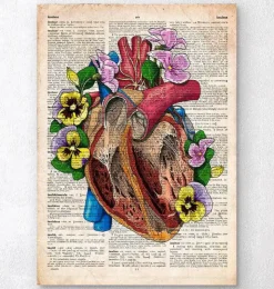 Blumenherz II - Altes Wörterbuch | Codex Anatomicus Clearance