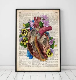 Blumenherz II - Altes Wörterbuch | Codex Anatomicus Clearance