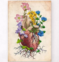 Blumenherzanatomie I - Altes Papier | Codex Anatomicus Sale