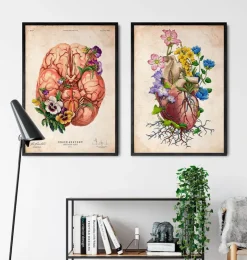 Blumenherzanatomie I - Altes Papier | Codex Anatomicus Sale