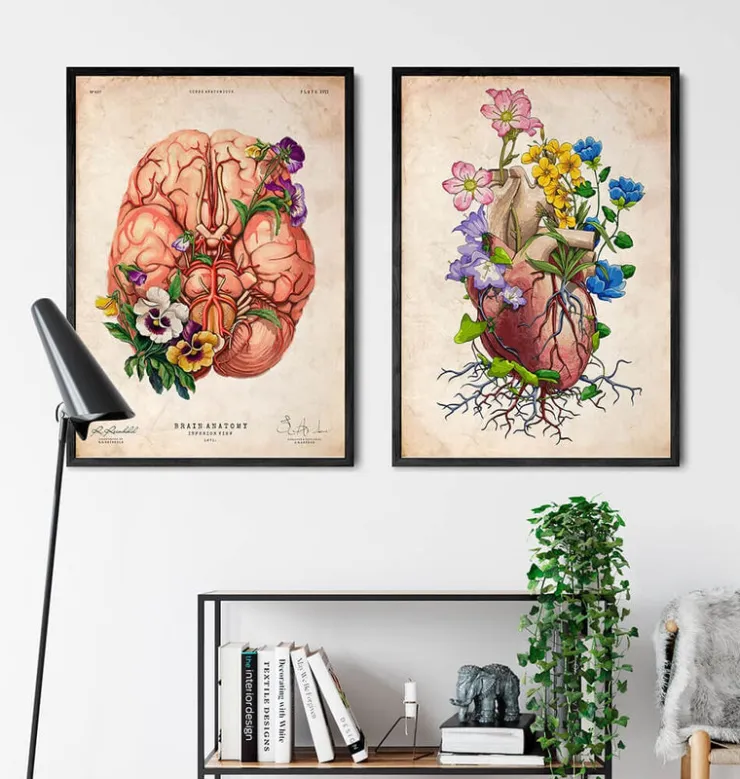 Blumenherzanatomie I - Altes Papier | Codex Anatomicus Sale