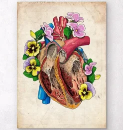 Blumenherzanatomie II - Altes Papier | Codex Anatomicus New