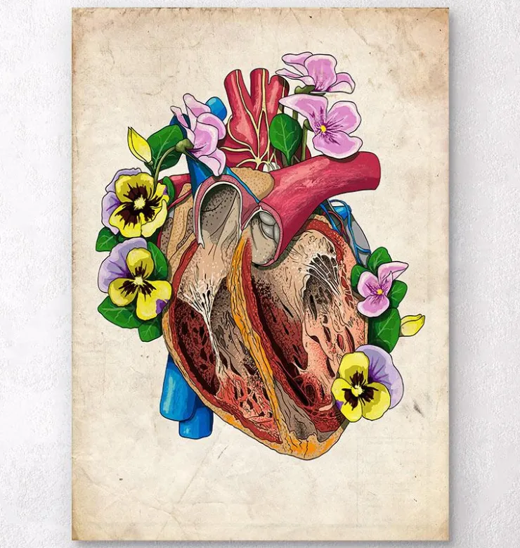 Blumenherzanatomie II - Altes Papier | Codex Anatomicus New
