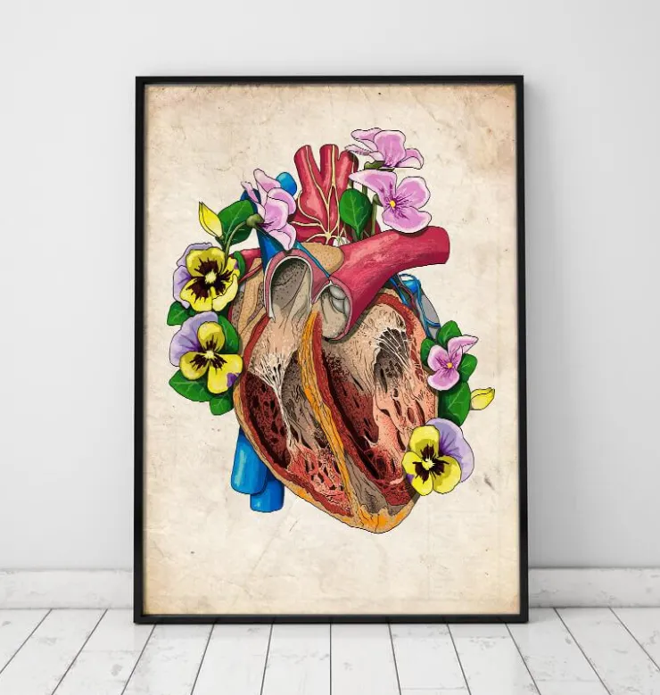 Blumenherzanatomie II - Altes Papier | Codex Anatomicus New