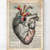 Blumenherzkunst - Altes Wörterbuch | Codex Anatomicus Online