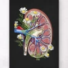 Blumennierenanatomie - Schwarz | Codex Anatomicus Hot