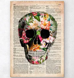 Blumenschädel - Altes Wörterbuch | Codex Anatomicus Best