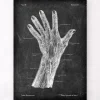 Blutgefäße der Hand - Chalkboard | Codex Anatomicus Outlet