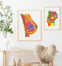 Brust Anatomie - Aquarell | Codex Anatomicus Best