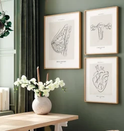 Brust Anatomie - Line-Art | Codex Anatomicus Online