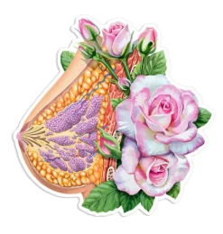 Brust Anatomie Aufkleber - Floral | Codex Anatomicus Discount
