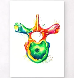 Brustwirbel Anatomie - Aquarell | Codex Anatomicus Best