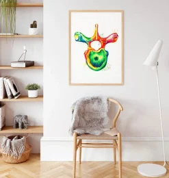 Brustwirbel Anatomie - Aquarell | Codex Anatomicus Best