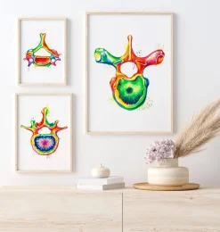 Brustwirbel Anatomie - Aquarell | Codex Anatomicus Best