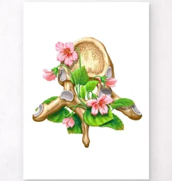 Brustwirbel Anatomie - Floral - Weiß | Codex Anatomicus New