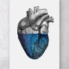 Buntes Herz - Blau | Codex Anatomicus Clearance