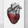 Buntes Herz - Rot | Codex Anatomicus Fashion