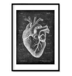 Chalkboard Herz Anatomie - 3er Set | Codex Anatomicus Online