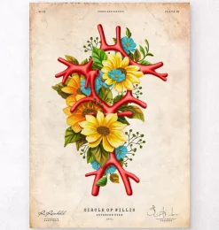 Circulus arteriosus - Floral - Vintage | Codex Anatomicus Hot