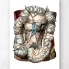 Darms Anatomie - Gometrischen | Codex Anatomicus New