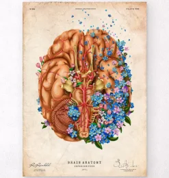 Demenz - Floral - Vintage | Codex Anatomicus Sale