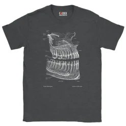 Dental Unisex T-Shirt - Chalkboard | Codex Anatomicus Sale