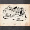 Dinosaurier schädel | Codex Anatomicus Clearance