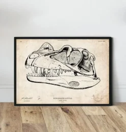Dinosaurier schädel | Codex Anatomicus Clearance