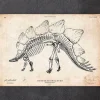 Dinosaurier Skelett - Stegosaurus | Codex Anatomicus Clearance