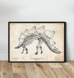 Dinosaurier Skelett - Stegosaurus | Codex Anatomicus Clearance