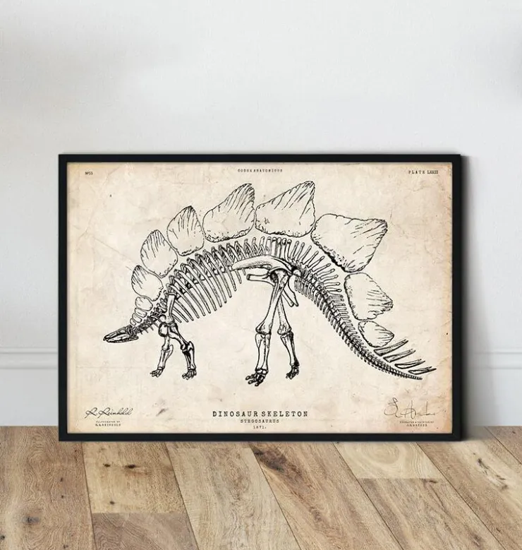 Dinosaurier Skelett - Stegosaurus | Codex Anatomicus Clearance