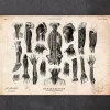 Druck der menschlichen Anatomie III | Codex Anatomicus Online