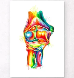 Ellbogen Anatomie - Aquarell | Codex Anatomicus Fashion