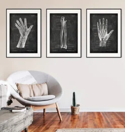 Elle und Speiche - Chalkboard | Codex Anatomicus Fashion