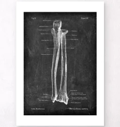 Elle und Speiche - Chalkboard | Codex Anatomicus Fashion
