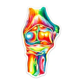 Ellenbogen Anatomie Aufkleber - Aquarell | Codex Anatomicus Clearance