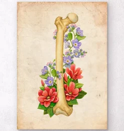 Femur Anatomie - Floral - Vintage | Codex Anatomicus Outlet