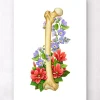 Femur Anatomie - Floral - Weiß | Codex Anatomicus Online