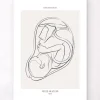 Fötus - Line-Art | Codex Anatomicus Best